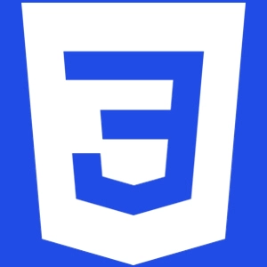 css icon